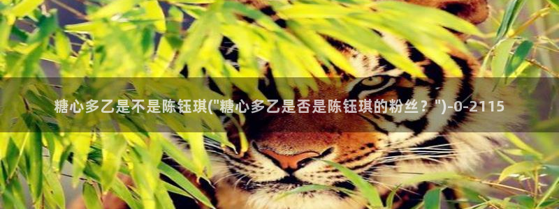 糖心vlog是干什么的