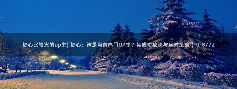 心糖vlog