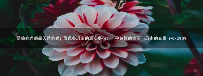 糖心vlog小桃