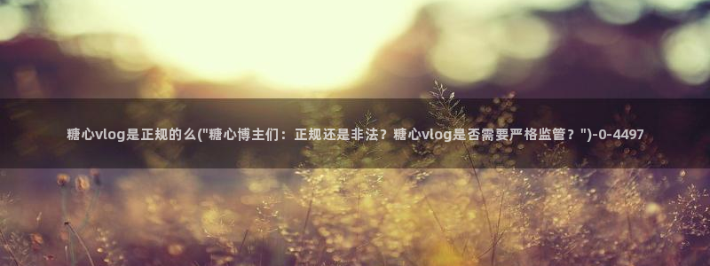 糖心vlog是啥