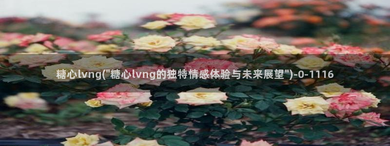 糖心vlog官网进入