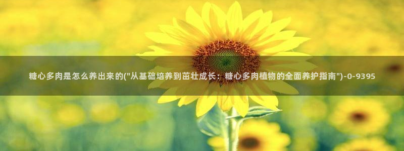 糖心 vlog下载