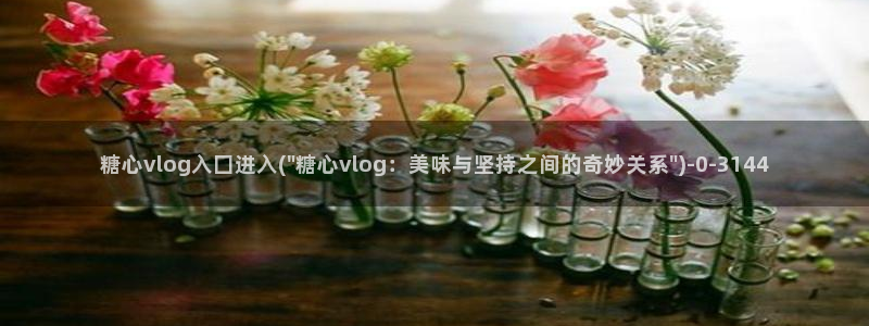糖心vlog无限次数版