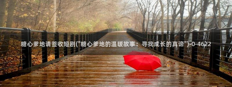 糖心vlog日常