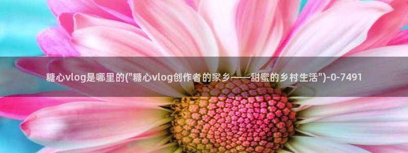 糖心,vlog