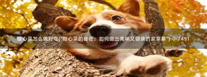 心糖vlog
